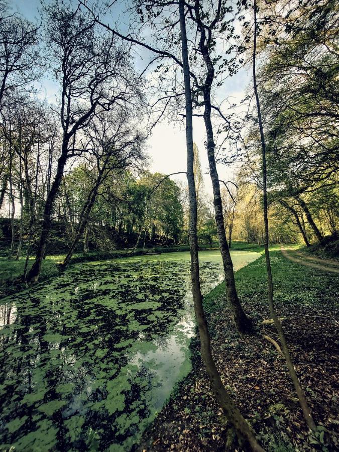 Domaine Du Val Sauvage Bed & Breakfast Langeais Eksteriør bilde